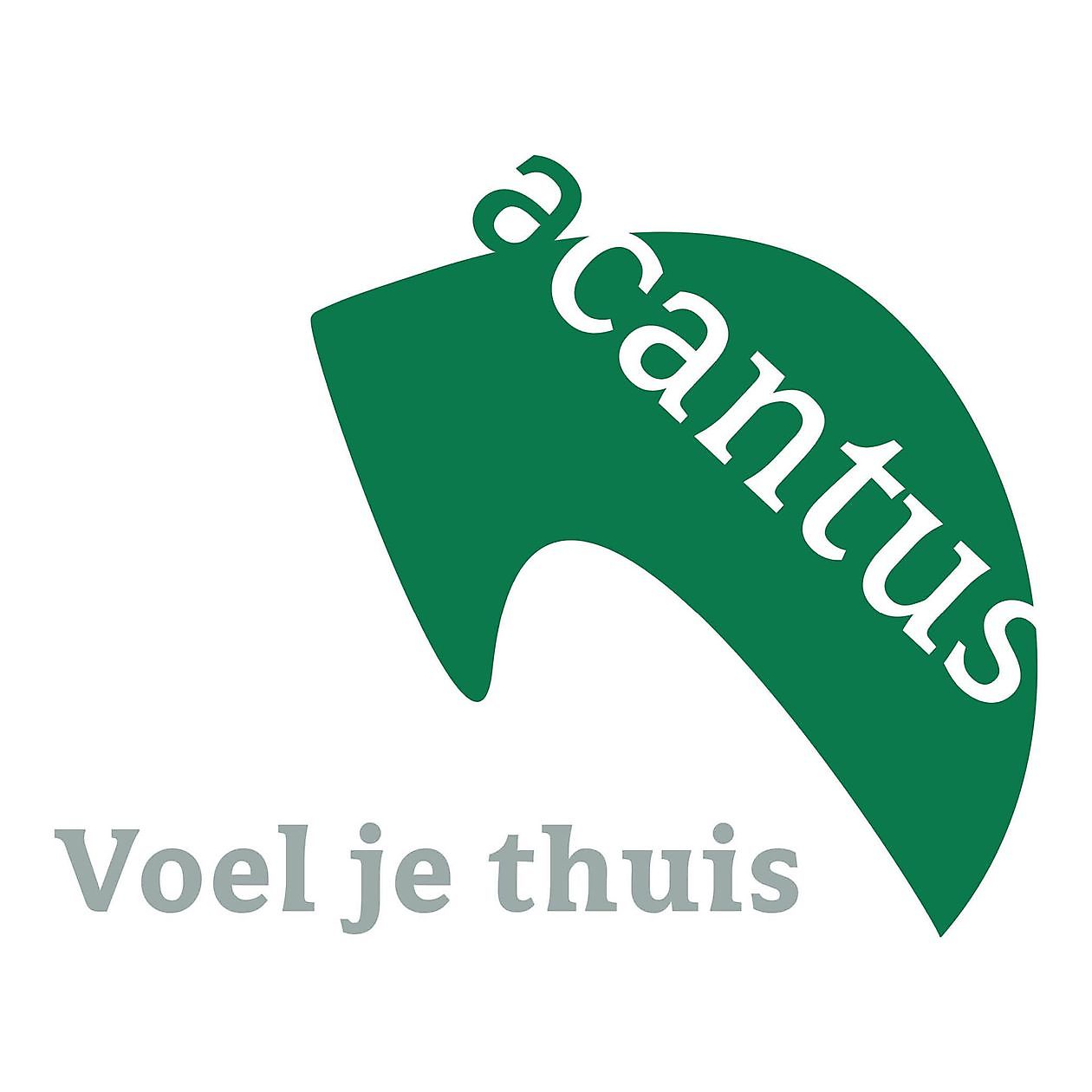 acantus